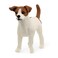 Schleich Farm World Jack Russell Terrier Realistic Dog Figurines Dog Figure Kids Ages 3 13916