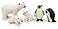 UANDME Polar Animal Toy Figurines Set Includes Polar Bear Family Emperor Penguin Family Figures