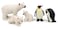 UANDME Polar Animal Toy Figurines Set Includes Polar Bear Family Emperor Penguin Family Figures
