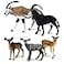 FUNSHOWCASE African Jungle Wild Animals Toy Antelopes Figure Realistic Plastic Figurine Gifts for Kids Cake Topper Playset Lot 5piece