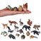 JOKFEICE Small Animal Figures for Kids 16PCS Realistic Forest Animals Baby Figurines Woodland Creatures Figurines Educational Toys for Science Project Cake Party Decor