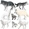 RCOMG 8PCS Wolf Toy Figures Realistic Wild Animal Wolf Figurines Plastic Jungle Forest Animal Toys Figurines for Kids Boys Girls