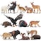 Toymany 14PCS Mini North American Forest Animals Figurines Realistic Jungle Animal Toys Includes Elk Pronghorn Leopard Gey Fox for Kids Adults Toddlers
