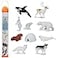 Safari Ltd. Safari Ltd Arctic TOOB With 10 Fun Figurines Including A Harp Seal Husky Caribou Arctic Rabbit Killer Whale Walrus Arctic Fox Beluga Whale Igloo And Polar Bear For Ages 3 and Up