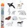 Safari Ltd. Safari Ltd Arctic TOOB With 10 Fun Figurines Including A Harp Seal Husky Caribou Arctic Rabbit Killer Whale Walrus Arctic Fox Beluga Whale Igloo And Polar Bear For Ages 3 and Up