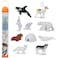 Safari Ltd. Safari Ltd Arctic TOOB With 10 Fun Figurines Including A Harp Seal Husky Caribou Arctic Rabbit Killer Whale Walrus Arctic Fox Beluga Whale Igloo And Polar Bear For Ages 3 and Up