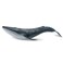 Wei Long Sea Animals Simulation Ocean Whale Toy Model Figures Toy Model Birthrday Gift Party School Project Favors Toys for Kid Boys GirlsBlue Whale