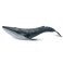 Wei Long Sea Animals Simulation Ocean Whale Toy Model Figures Toy Model Birthrday Gift Party School Project Favors Toys for Kid Boys GirlsBlue Whale