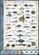 EuroGraphics Sea Fish 1000 Piece Puzzle 60000313