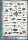 EuroGraphics Sea Fish 1000 Piece Puzzle 60000313