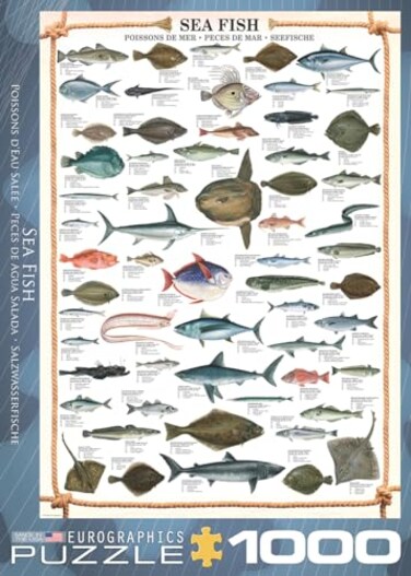 EuroGraphics Sea Fish 1000 Piece Puzzle 60000313