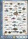 EuroGraphics Sea Fish 1000 Piece Puzzle 60000313