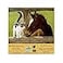 SunsOut SUNSOUT INC A Whiskery Hello 500 pc Jigsaw Puzzle by Artist Persis Clayton Weirs Finished Size 18 x 24 MPN 51528