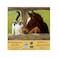 SunsOut SUNSOUT INC A Whiskery Hello 500 pc Jigsaw Puzzle by Artist Persis Clayton Weirs Finished Size 18 x 24 MPN 51528