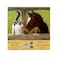SunsOut SUNSOUT INC A Whiskery Hello 500 pc Jigsaw Puzzle by Artist Persis Clayton Weirs Finished Size 18 x 24 MPN 51528