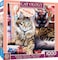 Masterpieces MasterPieces 1000 Piece Jigsaw Puzzle For Adults Family Or Youth Raja And Mulan 25x25
