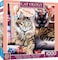Masterpieces MasterPieces 1000 Piece Jigsaw Puzzle For Adults Family Or Youth Raja And Mulan 25x25