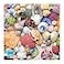 Re-Marks Remarks Seashore Puzzle 1000Piece Seashell Puzzle Artistic Jigsaw Puzzle for All Ages Made in USA