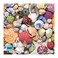 Re-Marks Remarks Seashore Puzzle 1000Piece Seashell Puzzle Artistic Jigsaw Puzzle for All Ages Made in USA