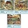 Bits and Pieces Value Set of Three Large 300 Piece Jigsaw Puzzles for Adults Jigsaw Puzzles Designed by Artist Ruane Manning Completed Puzzle Size 18 x 24