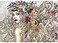 Anatolian Puzzle Flower Power 1500 Piece Jigsaw Puzzle 4549
