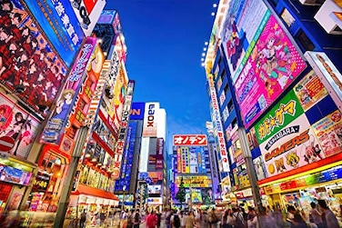 Toynk Evening in Akihabara Japan Puzzle for Adults and Kids Difficult 1000 Piece Jigsaw Puzzle Toy Fun Quarantine Gift Interactive Brain Teaser Challenge for Game Night