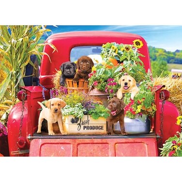 RoseArt Kodak Premium Stowaways 1000 Piece Jigsaw Puzzle for Adults