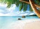 BEDUKE Jigsaw Puzzles 1000 Piece Every Piece is Unique for Adults Sturdy Thick Cardboard Puzzle Coastal Beach Precise Interlocking Family Game Age 14