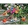 Bits and Pieces Large 300 Piece Jigsaw Puzzle for Adults Birds On The Porch Steps Flowers Jigsaw Puzzle by Greg Giordano Completed Puzzle Size 18 x 24