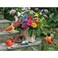 Bits and Pieces Large 300 Piece Jigsaw Puzzle for Adults Birds On The Porch Steps Flowers Jigsaw Puzzle by Greg Giordano Completed Puzzle Size 18 x 24