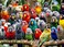 Cross & Cross Glory Kaleidoscope of Feathers 1000 Piece Jigsaw Puzzle for Adults Unique Bird Artwork Best Challenging Puzzles for Cognitive Workout