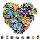 Mys Aurora Heart Puzzle GiftsFSC Certified 200 Pieces Succulent Wooden Puzzles for Adults Unique Shaped Plant PuzzlesBrain Teaser Flower Puzzle Game Medium 117 x 112