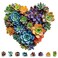 Mys Aurora Heart Puzzle GiftsFSC Certified 200 Pieces Succulent Wooden Puzzles for Adults Unique Shaped Plant PuzzlesBrain Teaser Flower Puzzle Game Medium 117 x 112