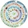 Ridley's Ridleys Bird Lovers 1000piece Round Jigsaw Puzzle Included Poster with Bird Migrations and Bird Facts for Bird Owners and Bird Lovers