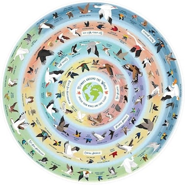 Ridley's Ridleys Bird Lovers 1000piece Round Jigsaw Puzzle Included Poster with Bird Migrations and Bird Facts for Bird Owners and Bird Lovers