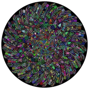 Bgraamiens PuzzleThe Indian Feather1000 Pieces Round Puzzle Color Challenge Jigsaw Puzzles for Adults