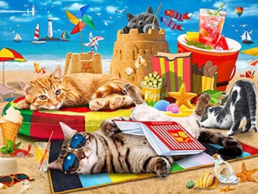 Mulic 300 Piece Puzzles for Kids Boys Girls Ages 68 810 1012 Jigsaw Puzzles for Adults Beach Vacation