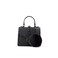 ALDO Womens Mini Jerilini Top Handle Bag BlackBlack