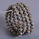 Justinstones Natural Dalmatian Jasper Gemstone 8mm Round Beads Stretch Bracelet 7 Inch Unisex