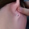 limerencia Limerencia Hypoallergenic G23 Implant Grade Titanium Screw Back Earrings Tragus 20G Helix F136 Piercing Post for Sensitive Ears Cartilage