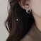 Amoina Clip On Hoop Earrings for Women Silver and GoldTone Brass Spring Hoops for NonPierced Ears