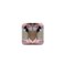 YYDSVOVO 2PCS Butterfly Tassel Zircon Earrings Butterfly Ear Cuffs No Piercing Silver