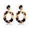 YAHPERN Acrylic Earrings For Women Statement Geometric Earrings Resin Acetate Drop Dangle Earrings Mottled Hoop Earrings Fashion Jewelry Leopard