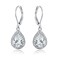 Barzel 18K White Gold Plated Cubic Zirconia Drop Earrings White Sapphire
