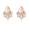 FENBORY Champagne Rhinestone Earrings Fancy Crystal Cluster Earrings Art Decro Drop Earrings for Women
