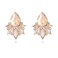 FENBORY Champagne Rhinestone Earrings Fancy Crystal Cluster Earrings Art Decro Drop Earrings for Women