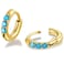 Showself 6MM Mini Hoop Earring Gold Blue Tragus Helix Cartilage Rook Micro Ear Hoops Earring Cubic Zirconia CZ Tiny Huggie Hoop Earrings for Women 20G