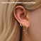 Harry and Gold Earring Stacks for Women Hoop Stud Dangle Set Hypoallergenic Cartilage Multiple Piercing Trendy Jewelry Gifts