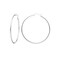 TitanHeart Titanium Hoop Earrings Hypoallergenic Implant Grade Pure Titanium G23 Lightweight Big Hoops for Women Sensitive Ears 50mm
