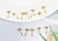 Showself 12Pcs 2MM Tiny Ball Stud Earrings 20G Hypoallergenic Surgical Steel Small Gold Cartilage Helix Piercing Jewelry Micro Stacked Stud Earring Mini Dot Post Earrings Set for Multiple Hole Piercin